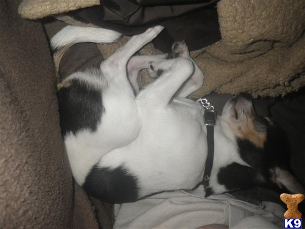 corbinbobber Picture 2
